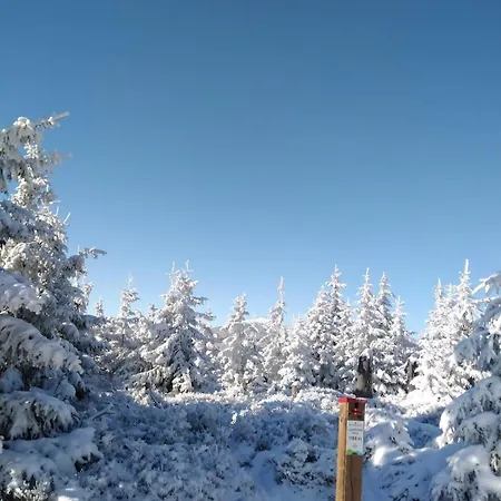 Jarkowice 4x4 Z Widokiem Na Jeziorko *