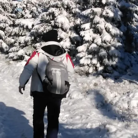 Jarkowice 4x4 Z Widokiem Na Jeziorko Jarkowice (Lubawka)