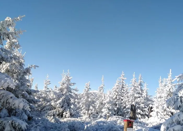 Jarkowice 4x4 Z Widokiem Na Jeziorko *